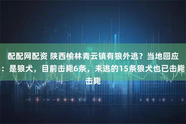 配配网配资 陕西榆林青云镇有狼外逃？当地回应：是狼犬，目前击毙6条，未逃的15条狼犬也已击毙