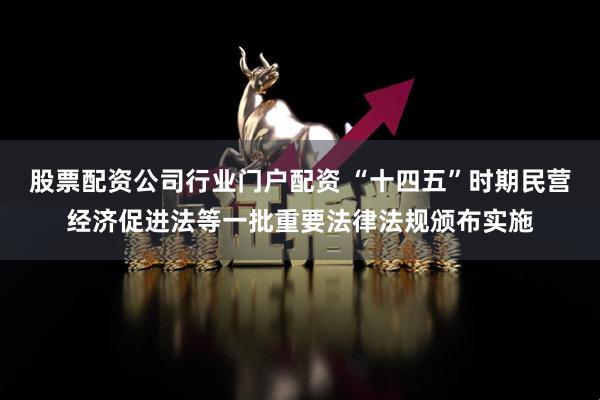 股票配资公司行业门户配资 “十四五”时期民营经济促进法等一批重要法律法规颁布实施