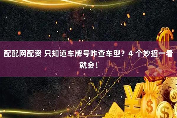 配配网配资 只知道车牌号咋查车型？4 个妙招一看就会！