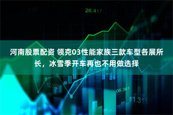 河南股票配资 领克03性能家族三款车型各展所长，冰雪季开车再也不用做选择