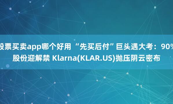 股票买卖app哪个好用 “先买后付”巨头遇大考：90%股份迎解禁 Klarna(KLAR.US)抛压阴云密布